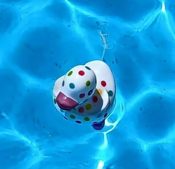 Bed and Breakfast Les Bichettes