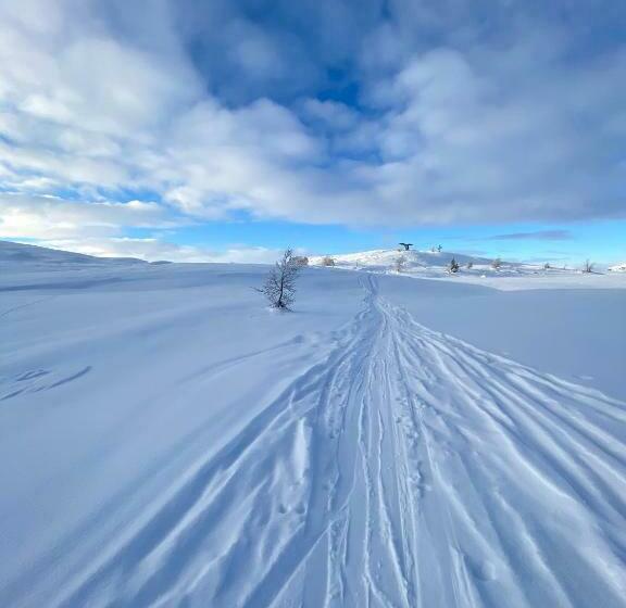 Bjødnabakkvegens Fjellutsikt