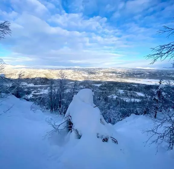 Bjødnabakkvegens Fjellutsikt