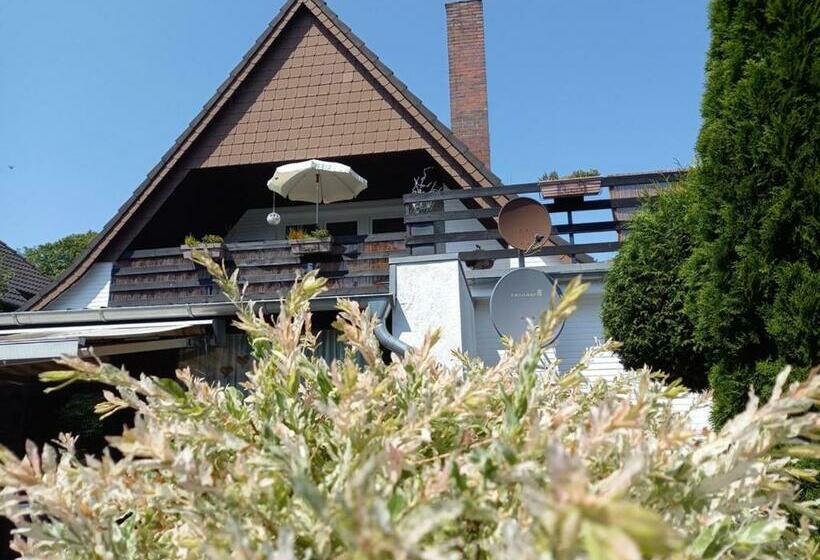 Ferien Zwischen Den Meeren