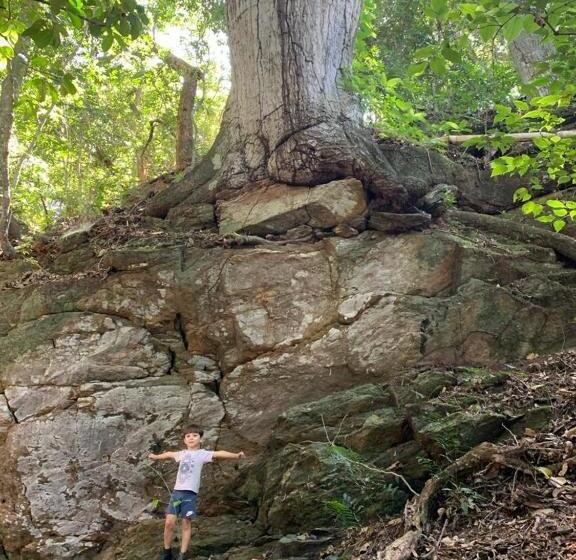 פנסיון Sítio Barriguda