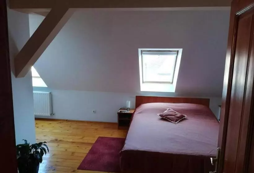 پانسیون Vila Pleșca