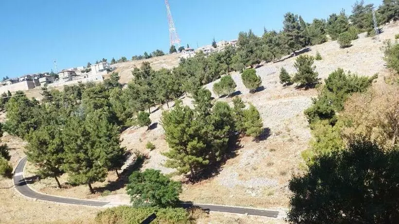 יחידת נופש בצפת קומת קרקע