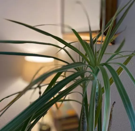 ユースホステル Locanda Le Ginestre