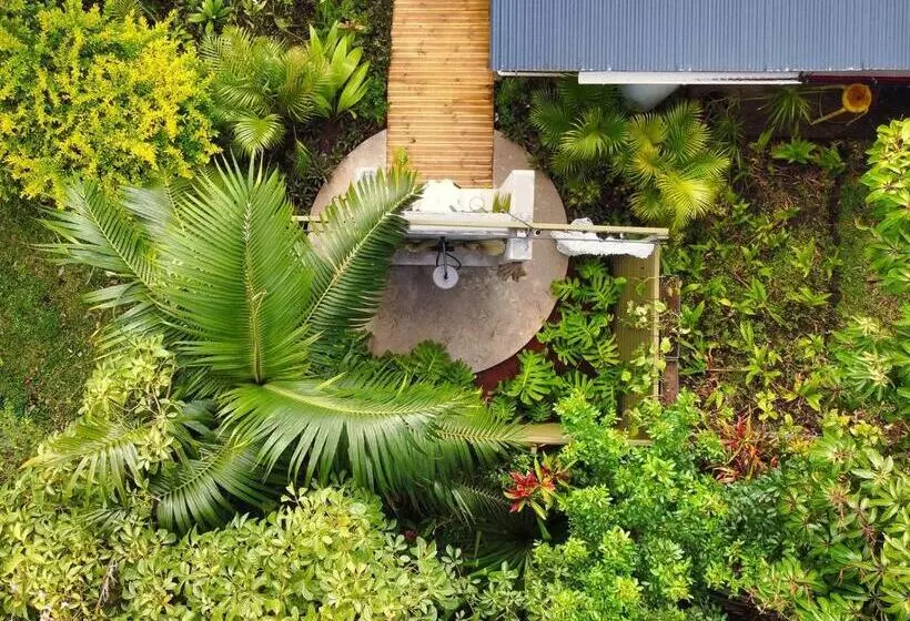 L Incroyable Maison De Mamie Mechant