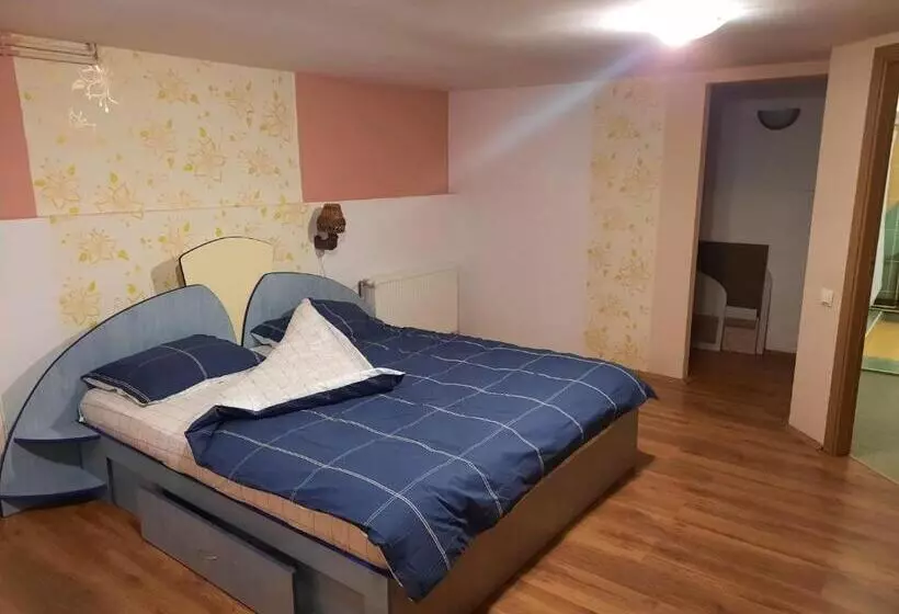 Panoramic Apartment