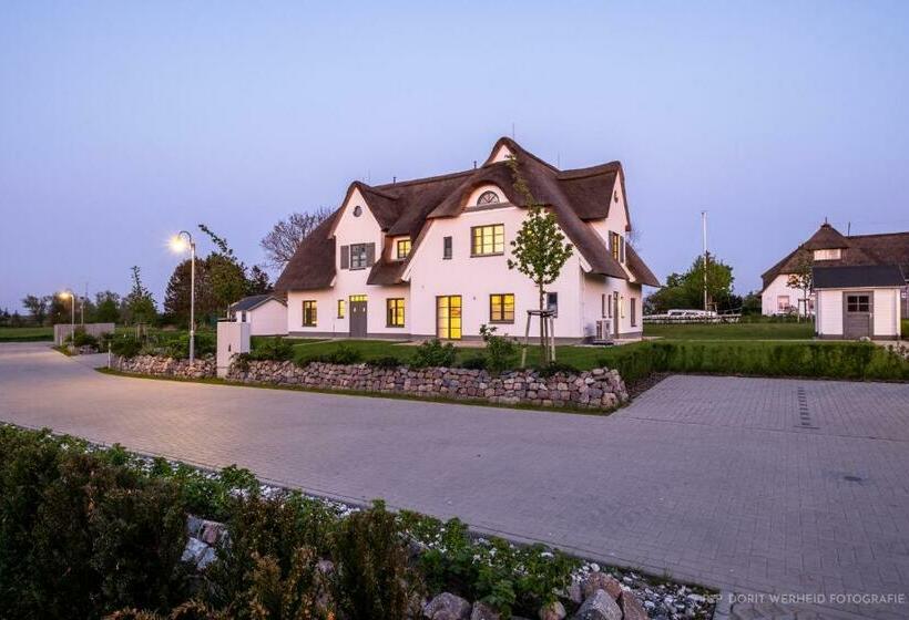 Urlaub De Luxe Unter Reet Inseldomizil Stolpe M Bartholdy