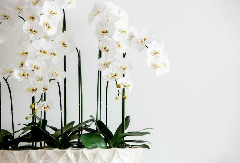 Villa Amylia Ruby, Excellence, World Class Seaview