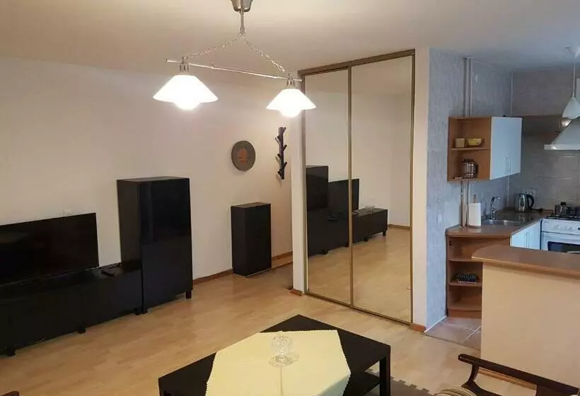 Apartments In Panevezys City Center