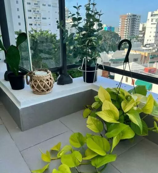 Hermoso Apartamento De 1.5 Habitaciones, Excelente Ubicación En Sdq