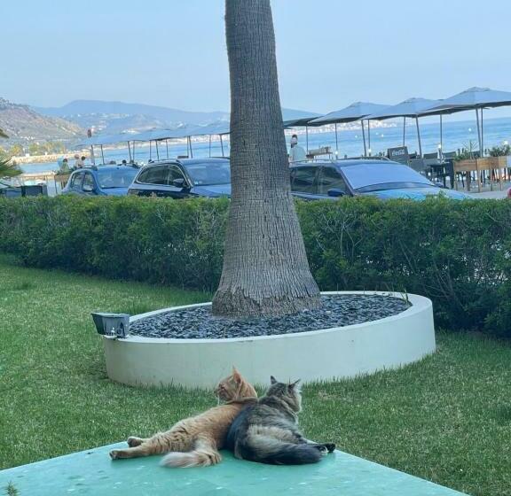 Appartamento Incantevole A Menton Fronte Spiaggia