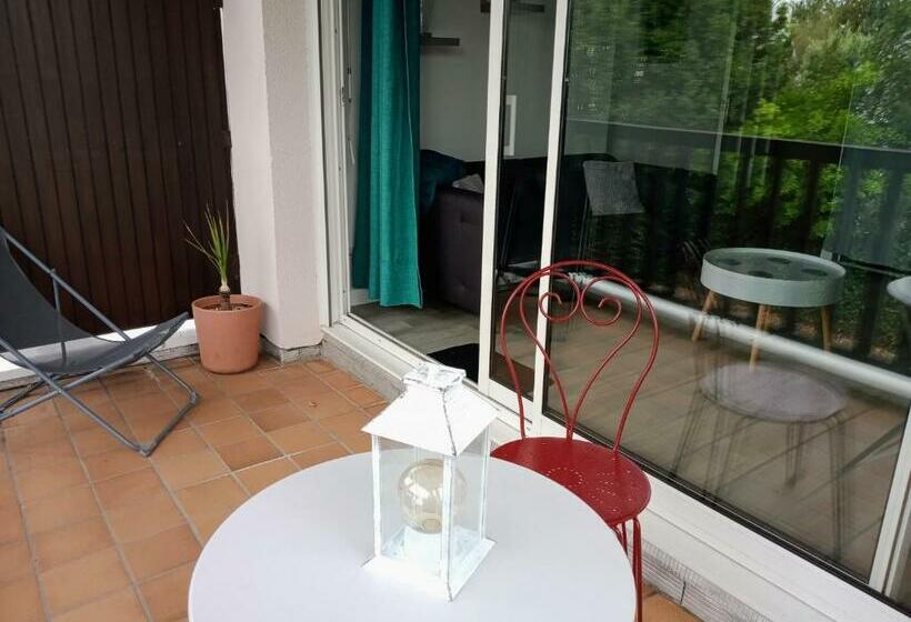Appartement Cosy Proche Port Et Golfe