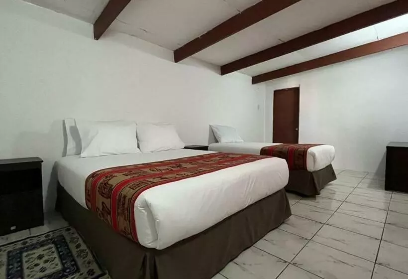 تختخواب و صبحانه Ckoinatur Hostel