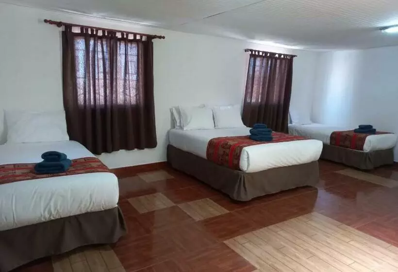 تختخواب و صبحانه Ckoinatur Hostel