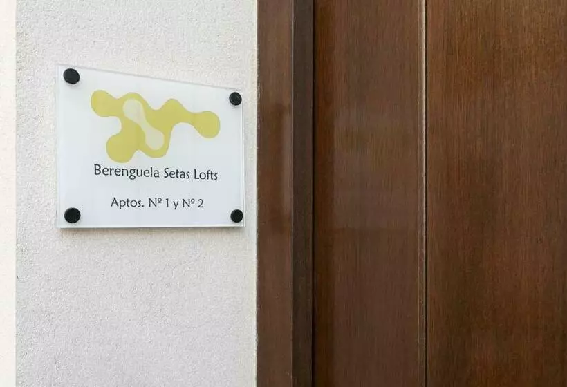 Berenguela Setas Lofts