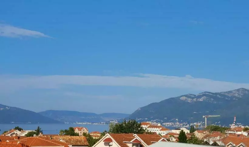 Apartments Maxim