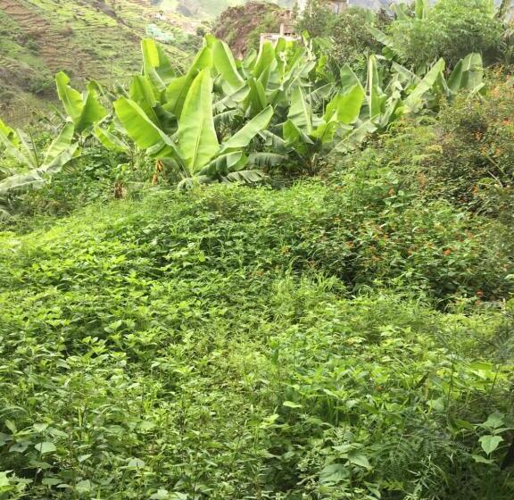 تختخواب و صبحانه Pousada Rural Simpatia