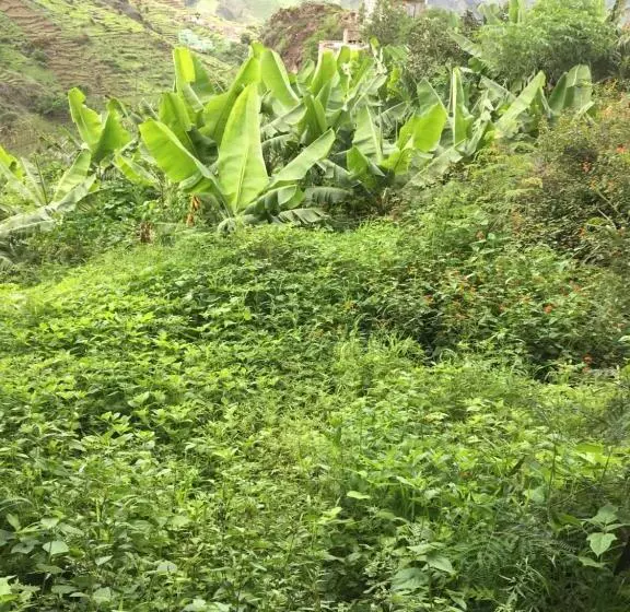 تختخواب و صبحانه Pousada Rural Simpatia