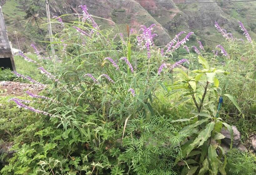 تختخواب و صبحانه Pousada Rural Simpatia