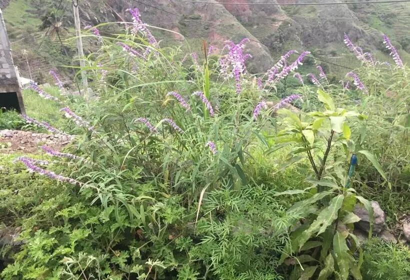 تختخواب و صبحانه Pousada Rural Simpatia