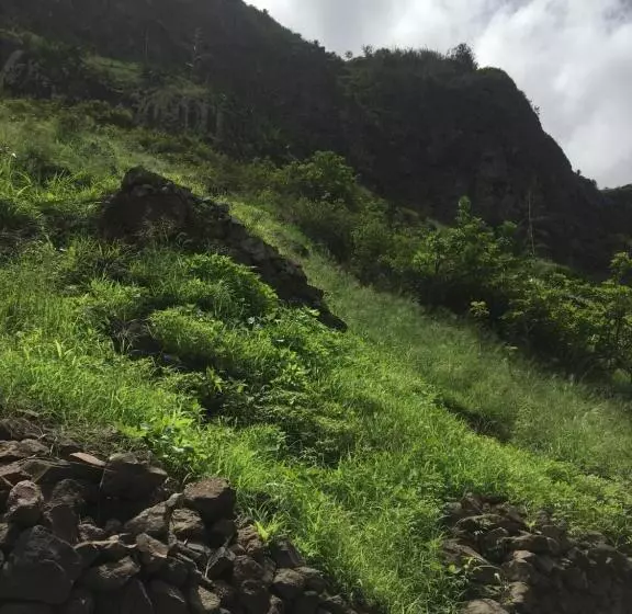 تختخواب و صبحانه Pousada Rural Simpatia