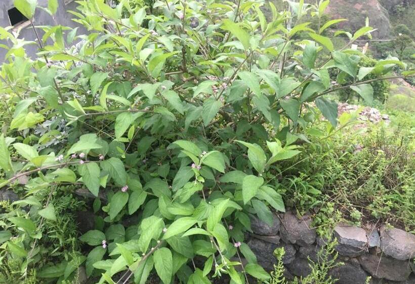 تختخواب و صبحانه Pousada Rural Simpatia