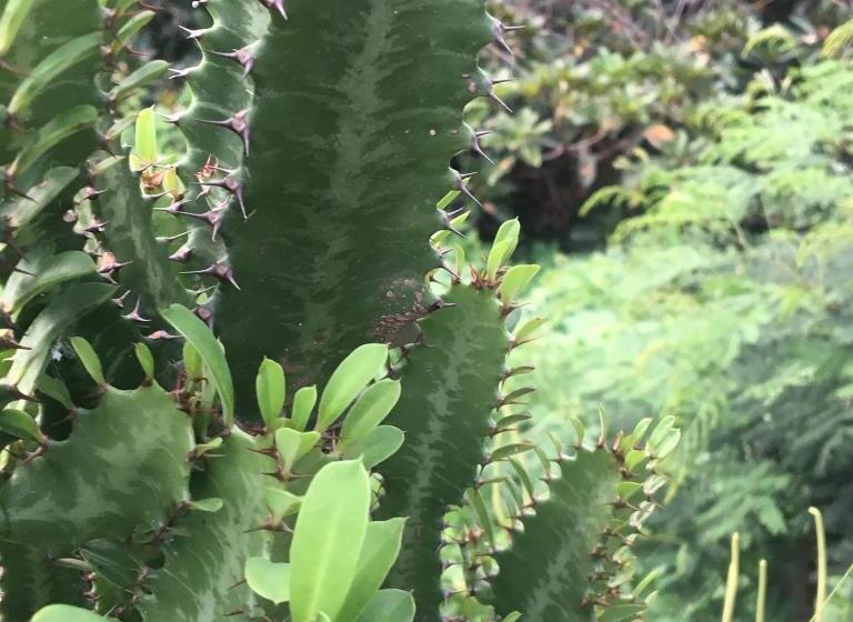 تختخواب و صبحانه Pousada Rural Simpatia