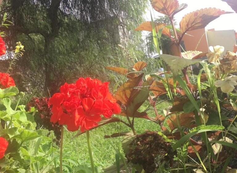 تختخواب و صبحانه Pousada Rural Simpatia