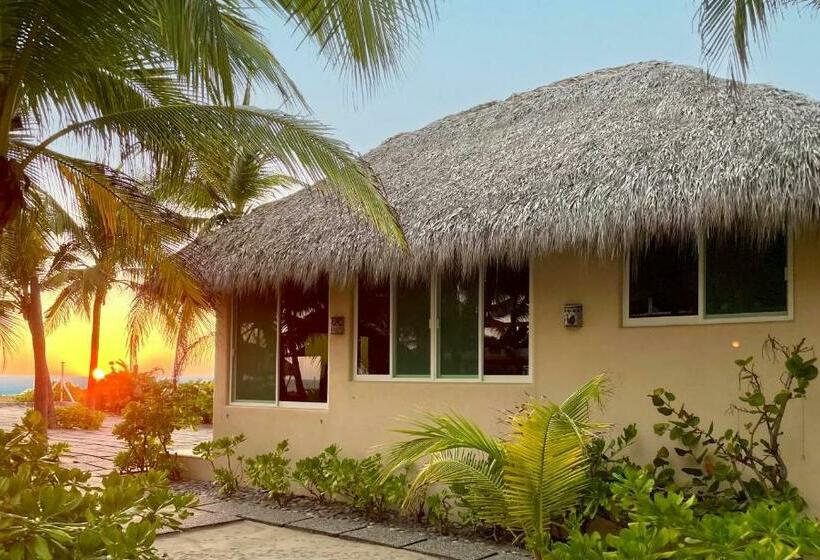 Oceanfront Villa Zihuatanejo