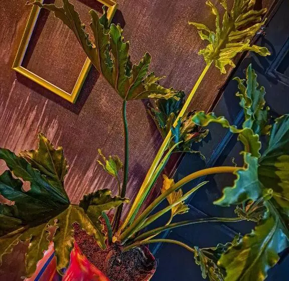 ペンション Urban Hostal Bar