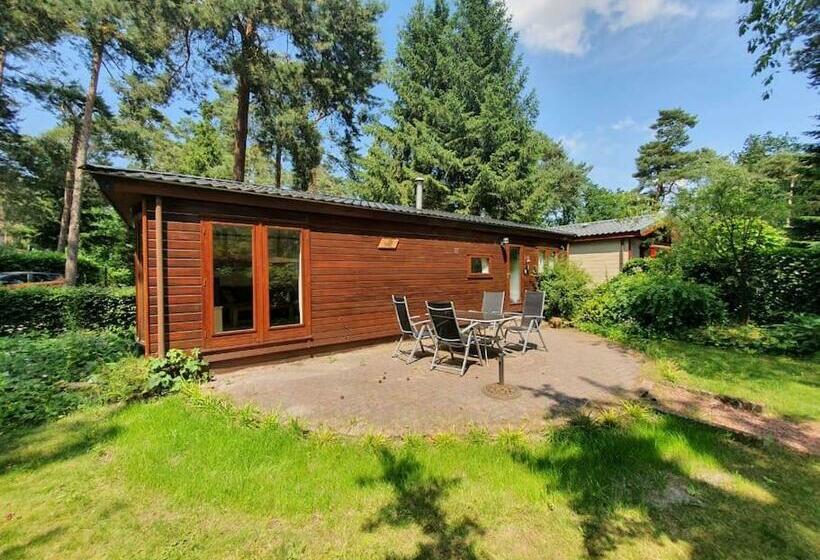 Chalet   De Blije Kabouter