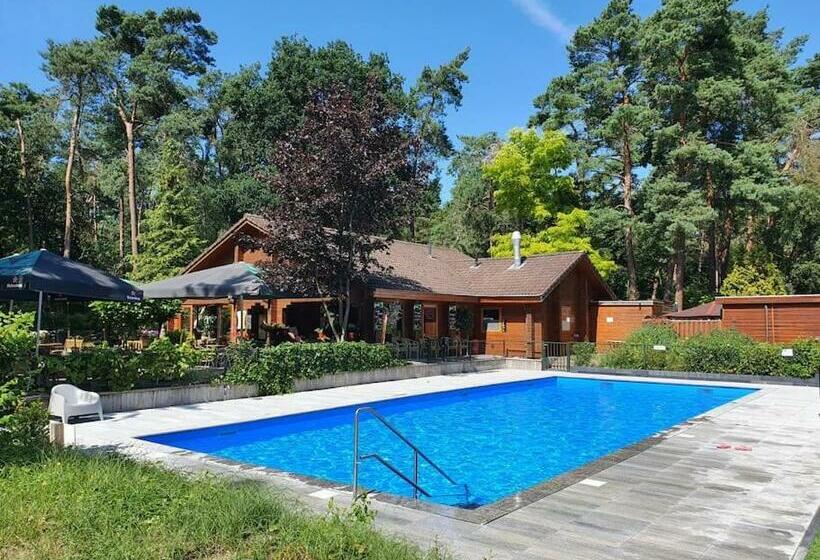 Chalet   De Blije Kabouter