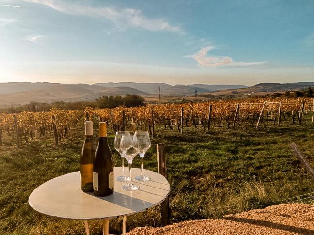 Gîte Des Maisons Rouges Au Bord Des Vignes