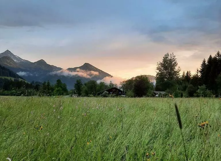 Suite Sinfonie Bergstille