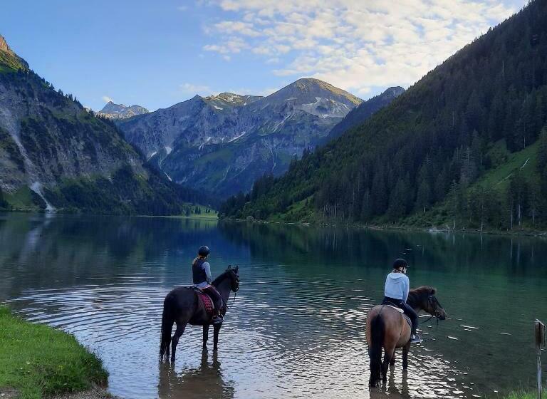 Suite Sinfonie Bergstille