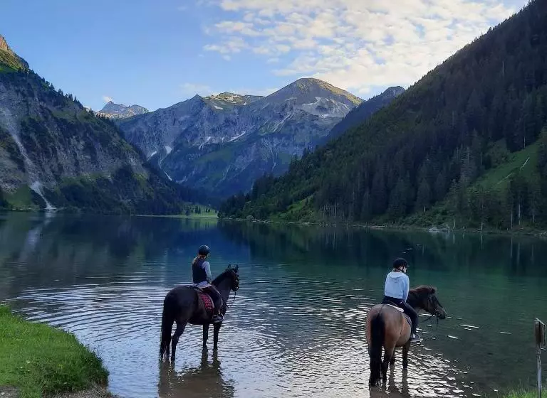 Suite Sinfonie Bergstille