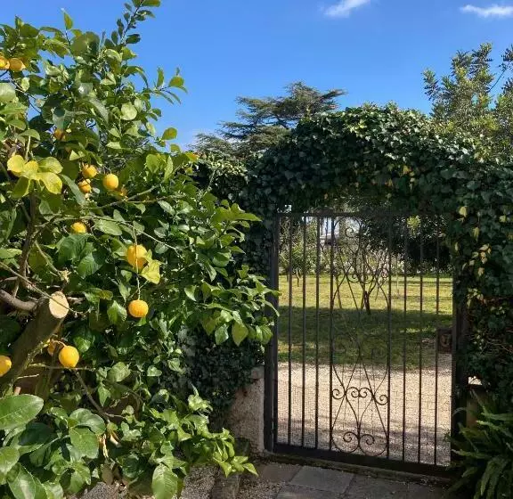 Casa Degli Ulivi Alloggio Turistico
