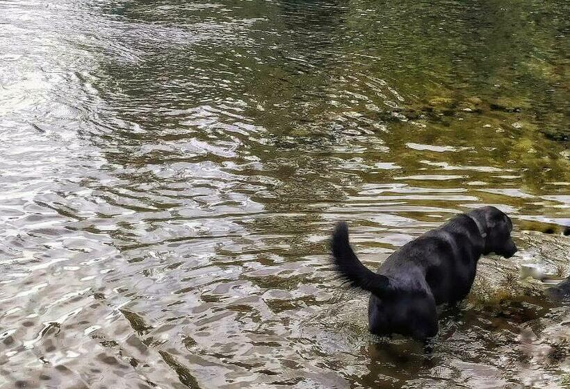 Casa Phoenix Familia