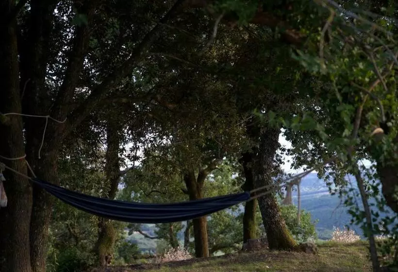 ホテル Agriturismo Cetamura