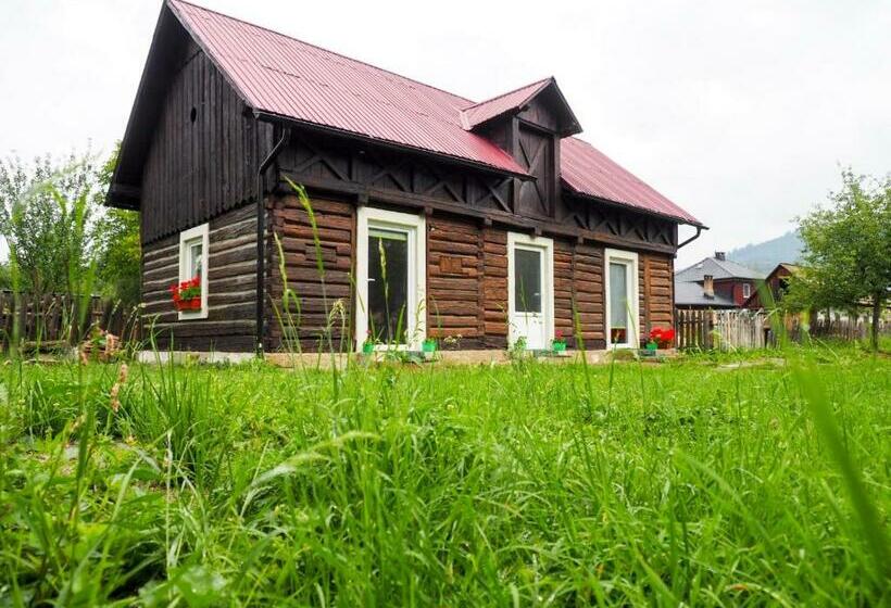 Пансион Wild Traditional Bucovina