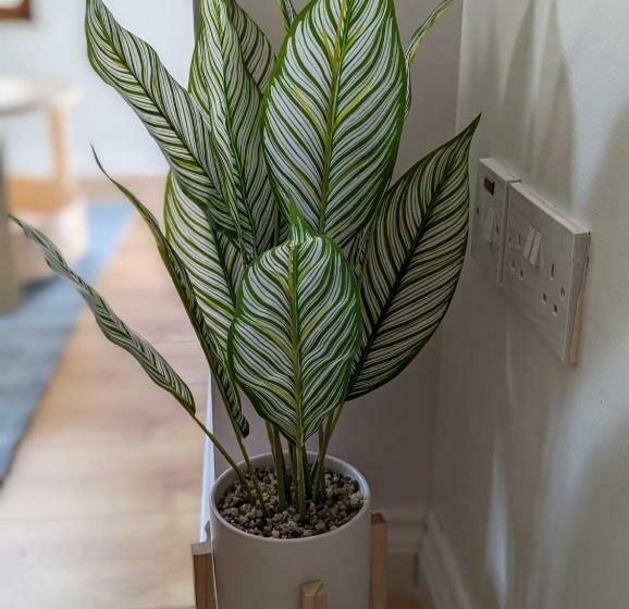 Brooklands Central Apartment