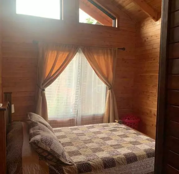 Pura Vida Cabinita