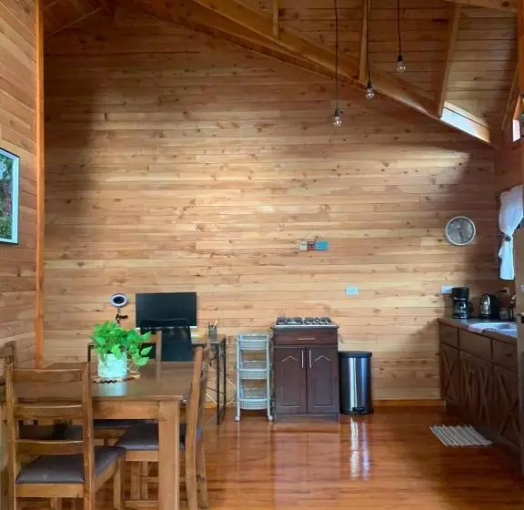 Pura Vida Cabinita