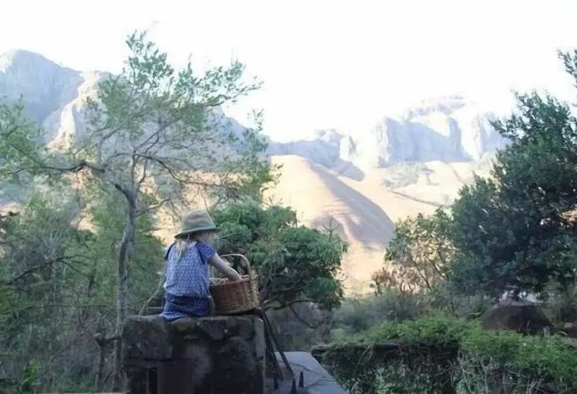 Forest Creek Lodge & Spa