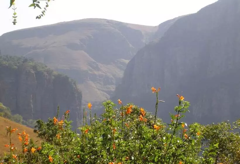 Forest Creek Lodge & Spa