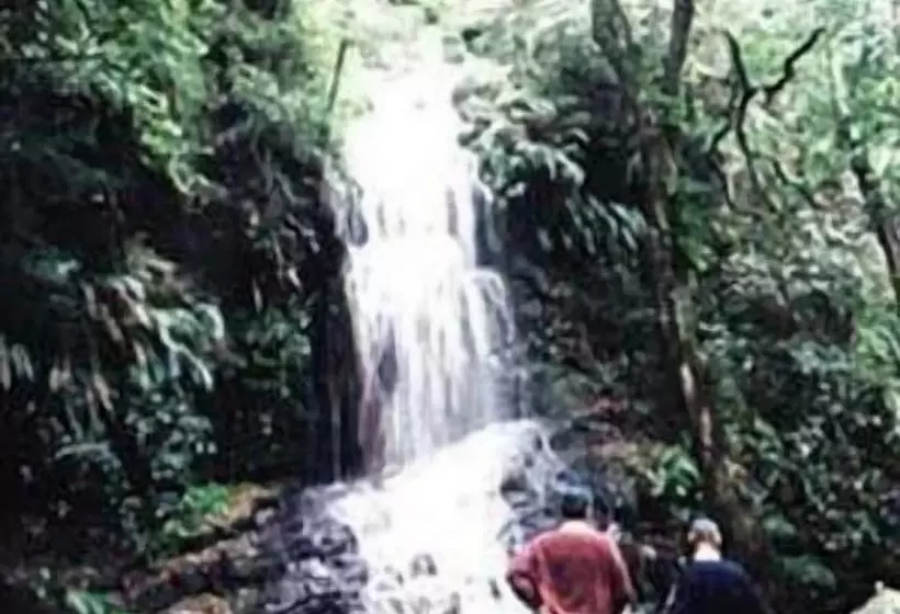 Forest Creek Lodge & Spa