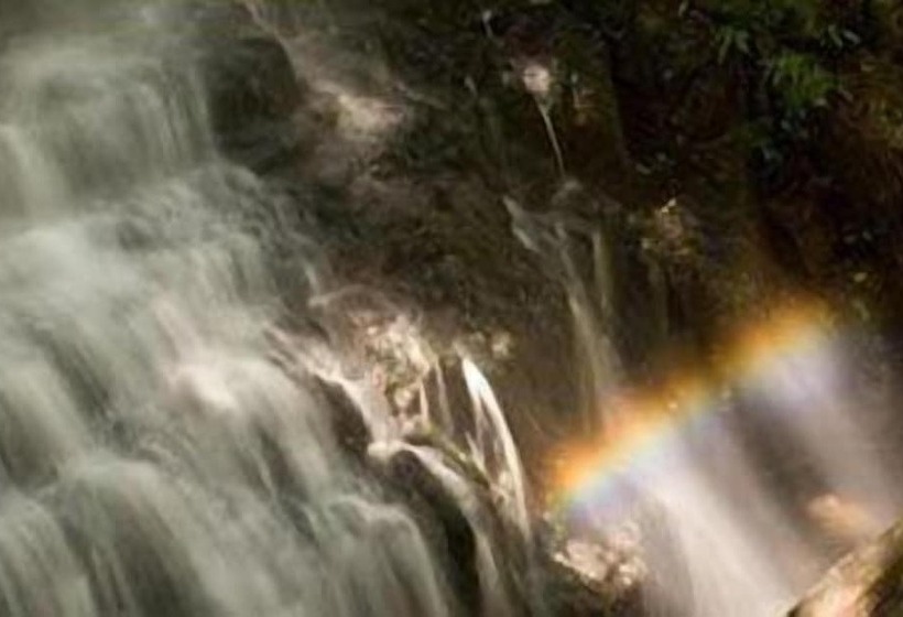 Forest Creek Lodge & Spa