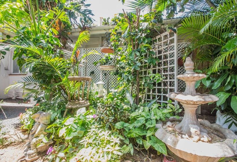 צימר Honeypot Guest House