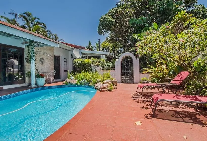 צימר Honeypot Guest House