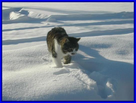 Ferienbauernhof Roth